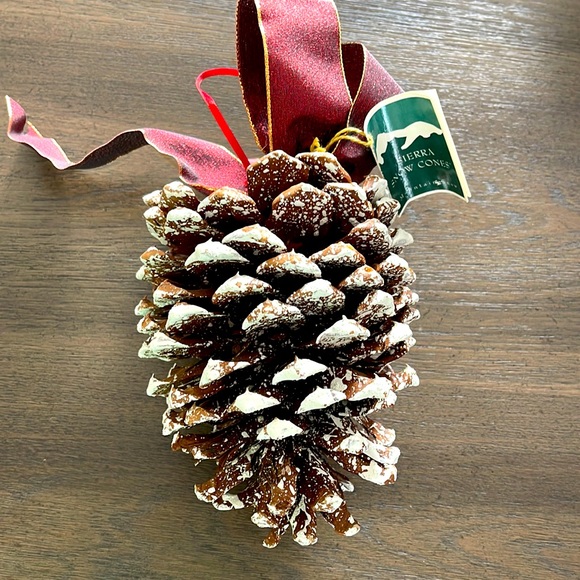 NWT -X Large SIERRA Snow Cone Ornament craft decor 6.5”x 5” - Picture 1 of 3